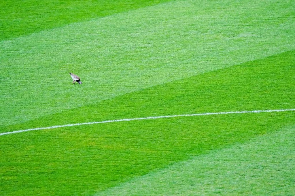 Así está la cancha David Arellano. (Foto: Guillermo Salazar / DaleAlbo)
