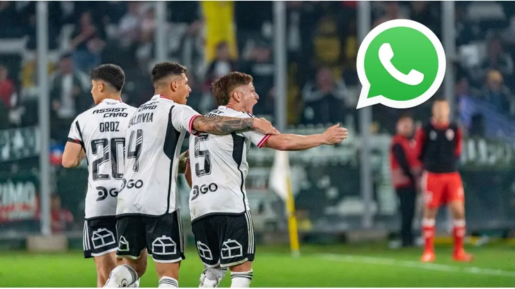 ¡DaleAlbo inauguró canal de Whatsapp para las noticias de Colo Colo!
