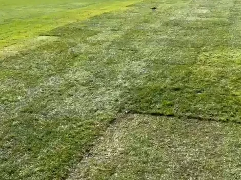 "Potrero chileno": periodista colombiano destroza la cancha del Monumental