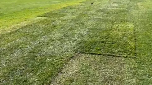 La cancha del estadio Monumental. Crédito: Carlos Velez.