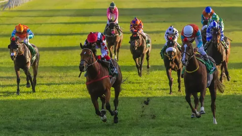 Se acerca la versión n° 151 de El Ensayo.