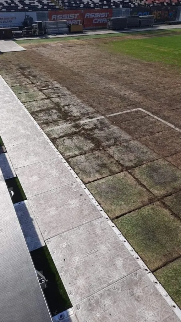 Así está la cancha del Estadio Monumental.