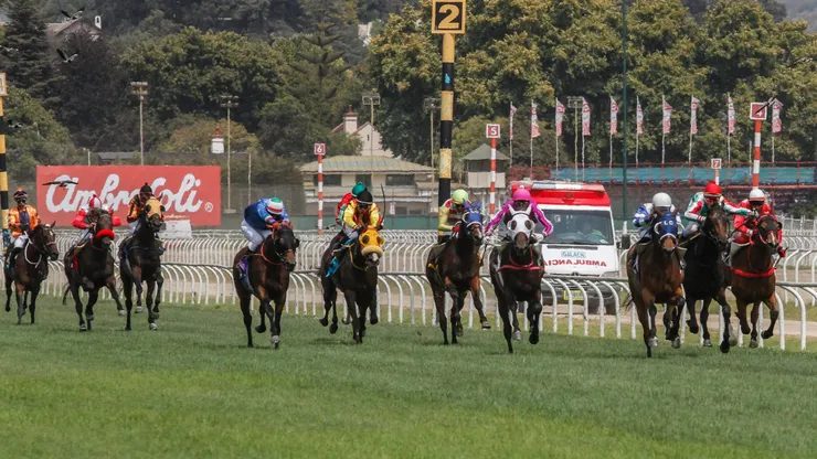 Este fin de semana se corre El Derby en Viña del Mar.