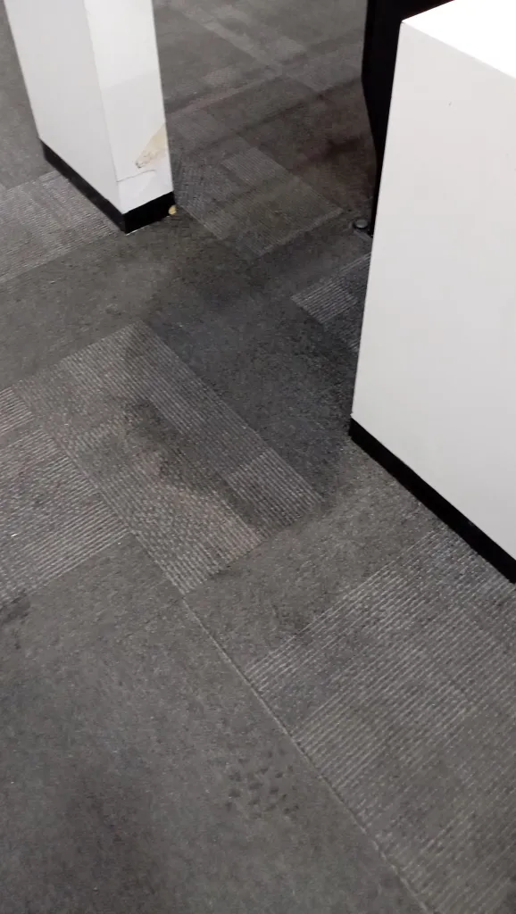 La alfombra mojada tras una gotera en la sala de prensa del Monumental en la presentación de Arturo Vidal.