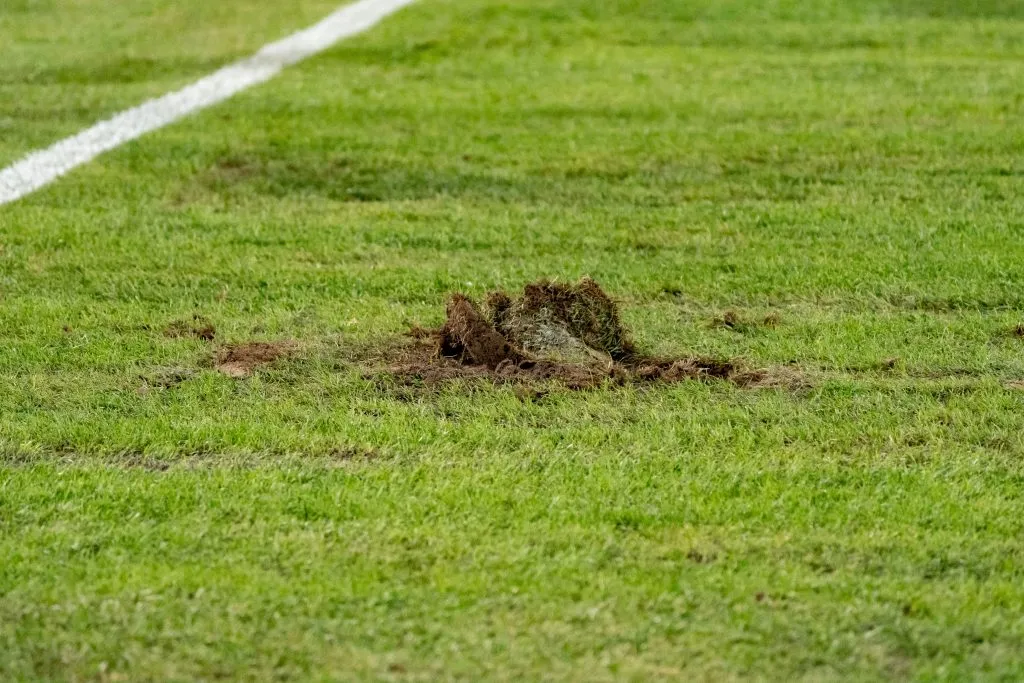 La cancha del Estadio Monumental preocupa a Colo Colo