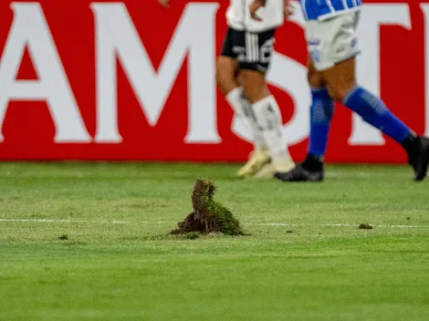 En Colo Colo se defienden por el estado de la cancha