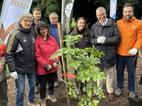 Colo Colo inicia el camino para ser el club más ecológico de Sudamerica
