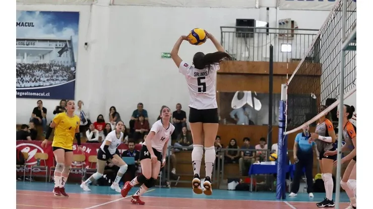 Colo Colo vóleibol solo suma victorias en la competencia