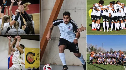 Colo Colo verá actividad en sus ramas deportivas