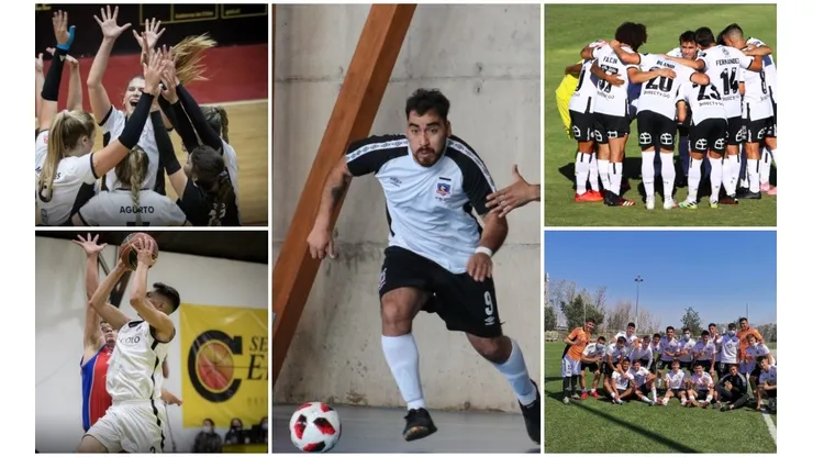 Colo Colo verá actividad en sus ramas deportivas