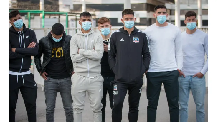 El plantel en la arellanización.