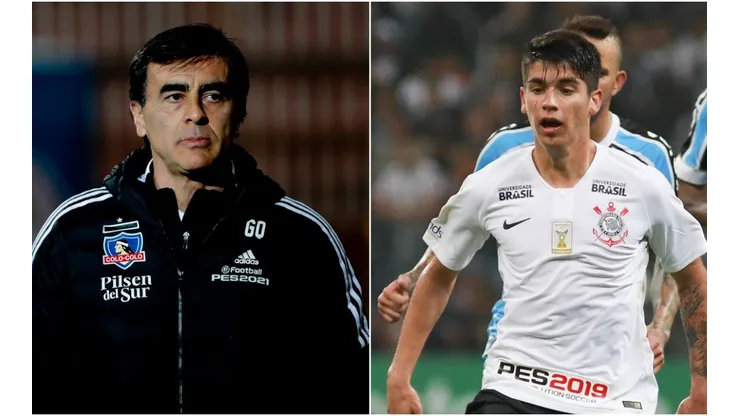 Araos es del total gusto de Quinteros para reforzar Colo Colo.
