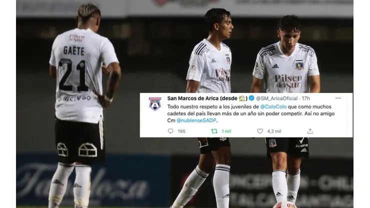 CM de Arica sale a defender a Colo Colo