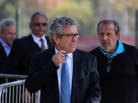 Aseguran que dos europeos buscan las acciones de Vial