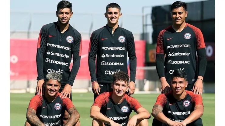 Los colocolinos en el microciclo
