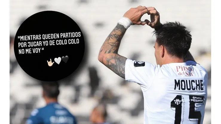 La historia de Instagram de Mouche