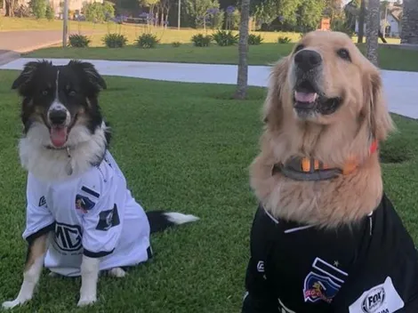 Blandi viste a sus perros con la camiseta de Colo Colo