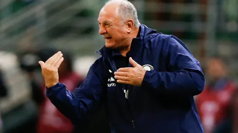 Nadie en Blanco y Negro se ha contactado con Scolari