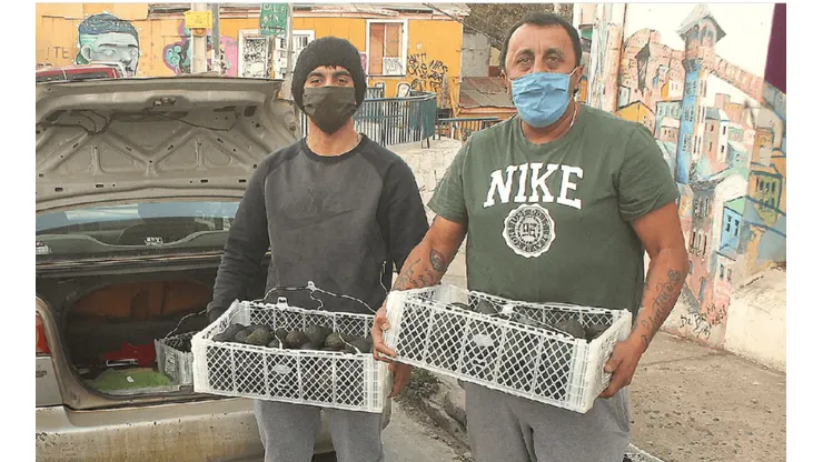 Pistola Flores reparte hasta 70 kilos de paltas a la semana
