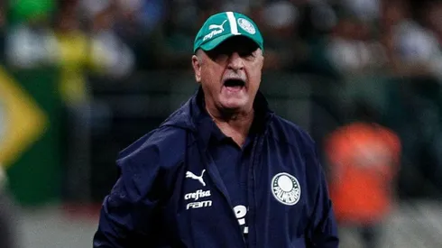 Scolari es una de las cartas fuertes para asumir en Colo Colo