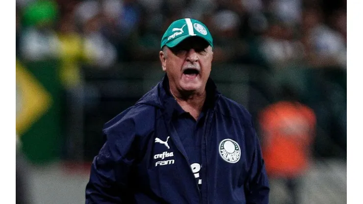 Scolari es una de las cartas fuertes para asumir en Colo Colo