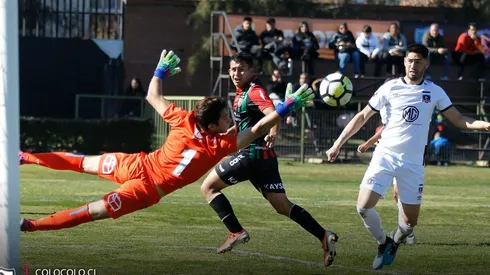 Colo Colo no tendrá más actividad en el fútbol joven este 2019