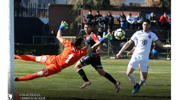 Colo Colo no tendrá más actividad en el fútbol joven este 2019