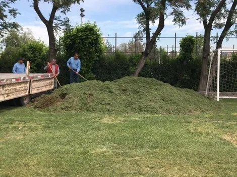 Colo Colo le regala pasto a la Municipalidad de Paine