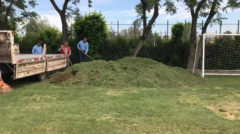 El pasto del Monumental