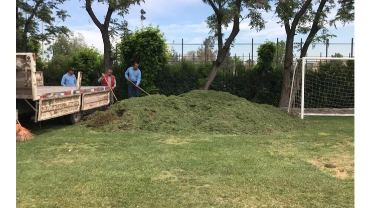El pasto del Monumental