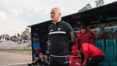 Ivo Basay, DT de Palestino