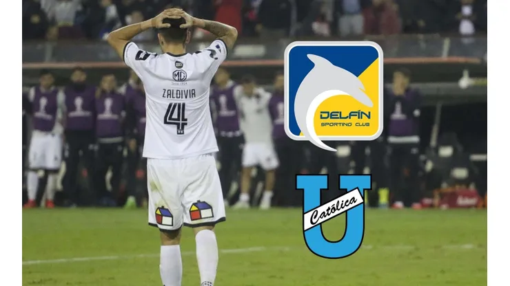 Delfín se arrimó a las celebraciones