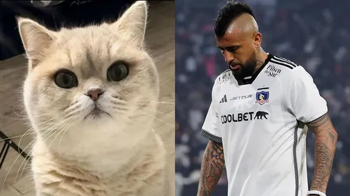 Arturo Vidal busca a su gato perdido.