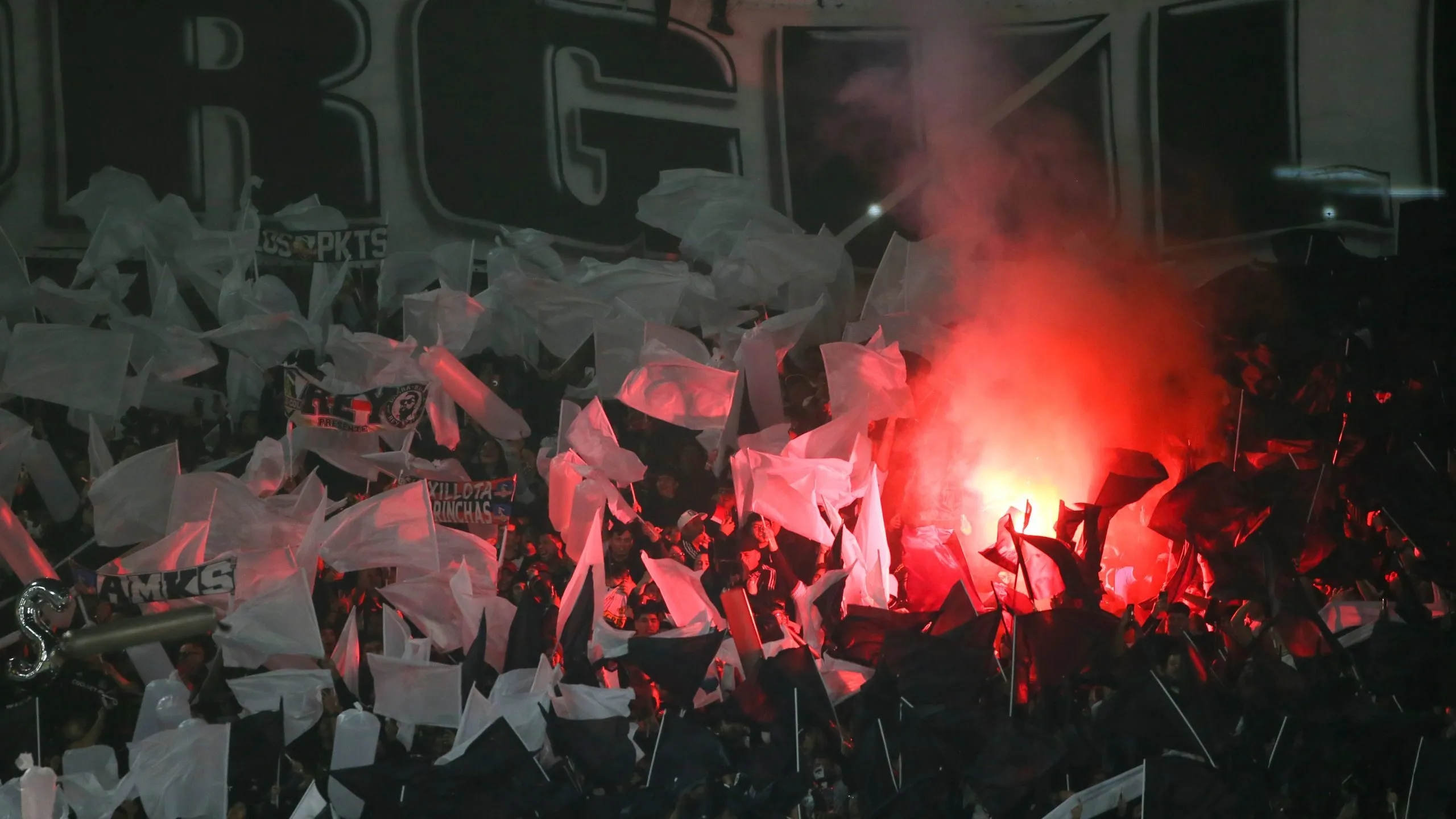 Los hinchas de Colo Colo en el Monumental. (Foto: Photosport)