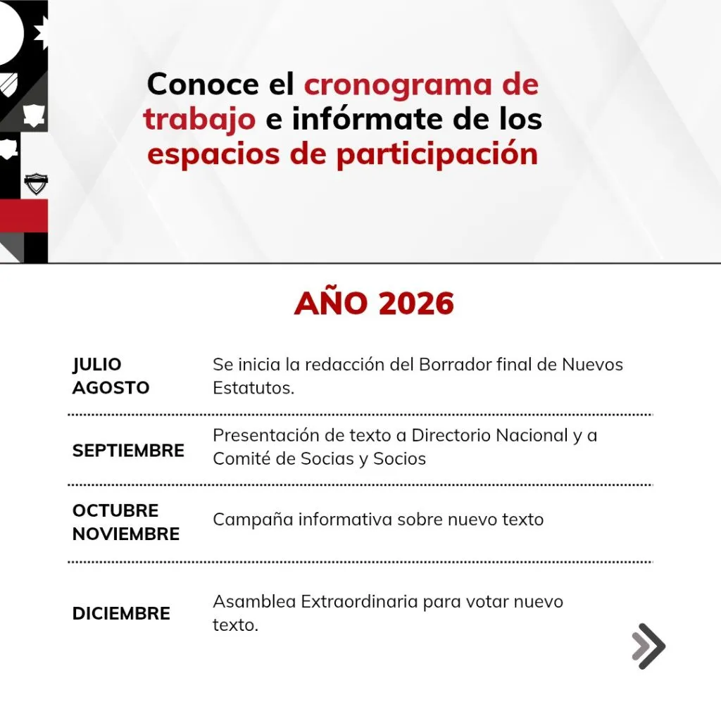 Gráfica: CSD Colo Colo