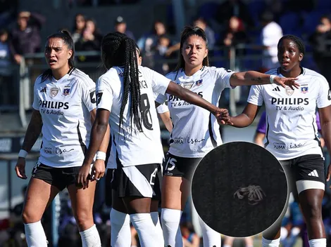 Partido de Colo Colo femenino debió ser detenido por insólito animal marino