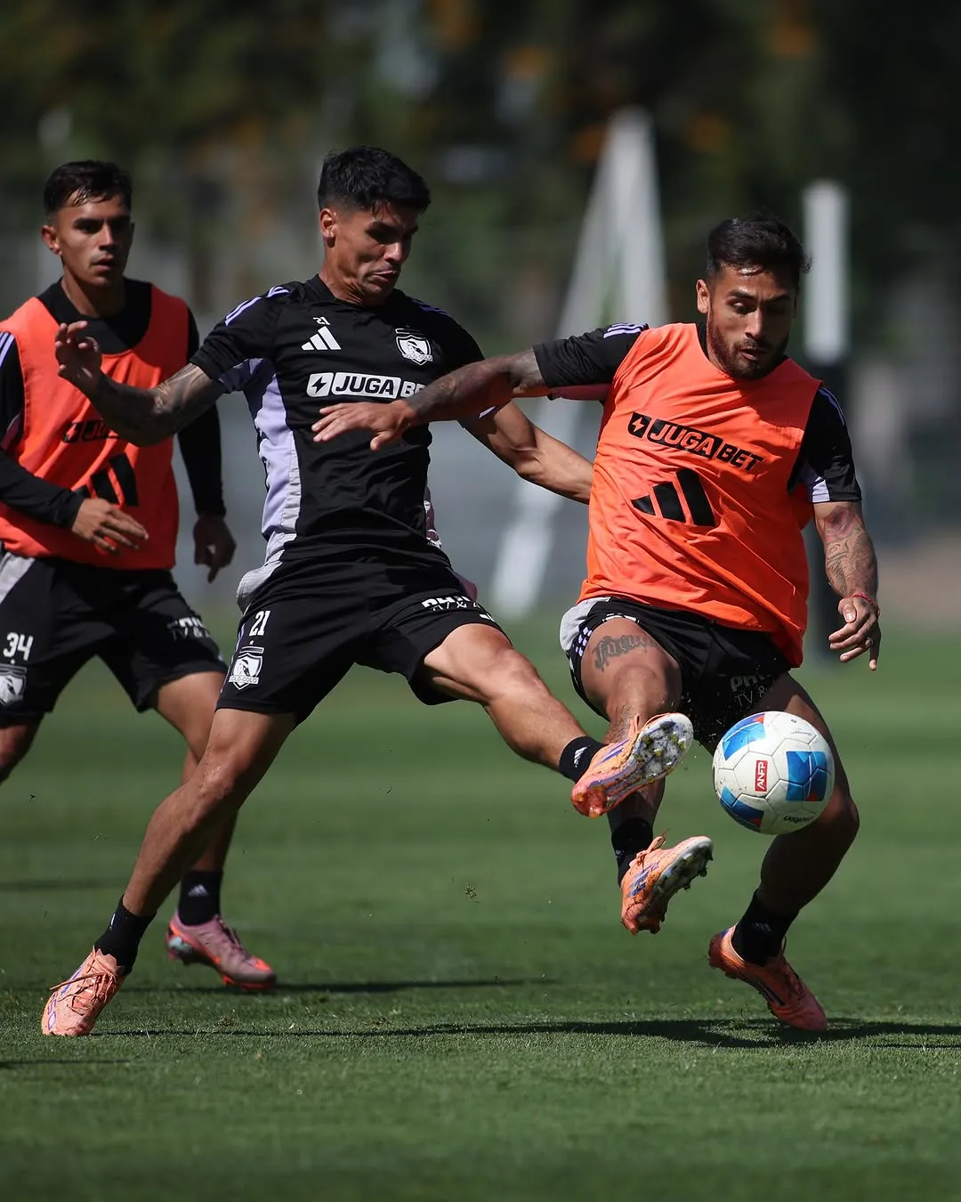 Colo Colo tendrá cambios en sus entrenamientos.