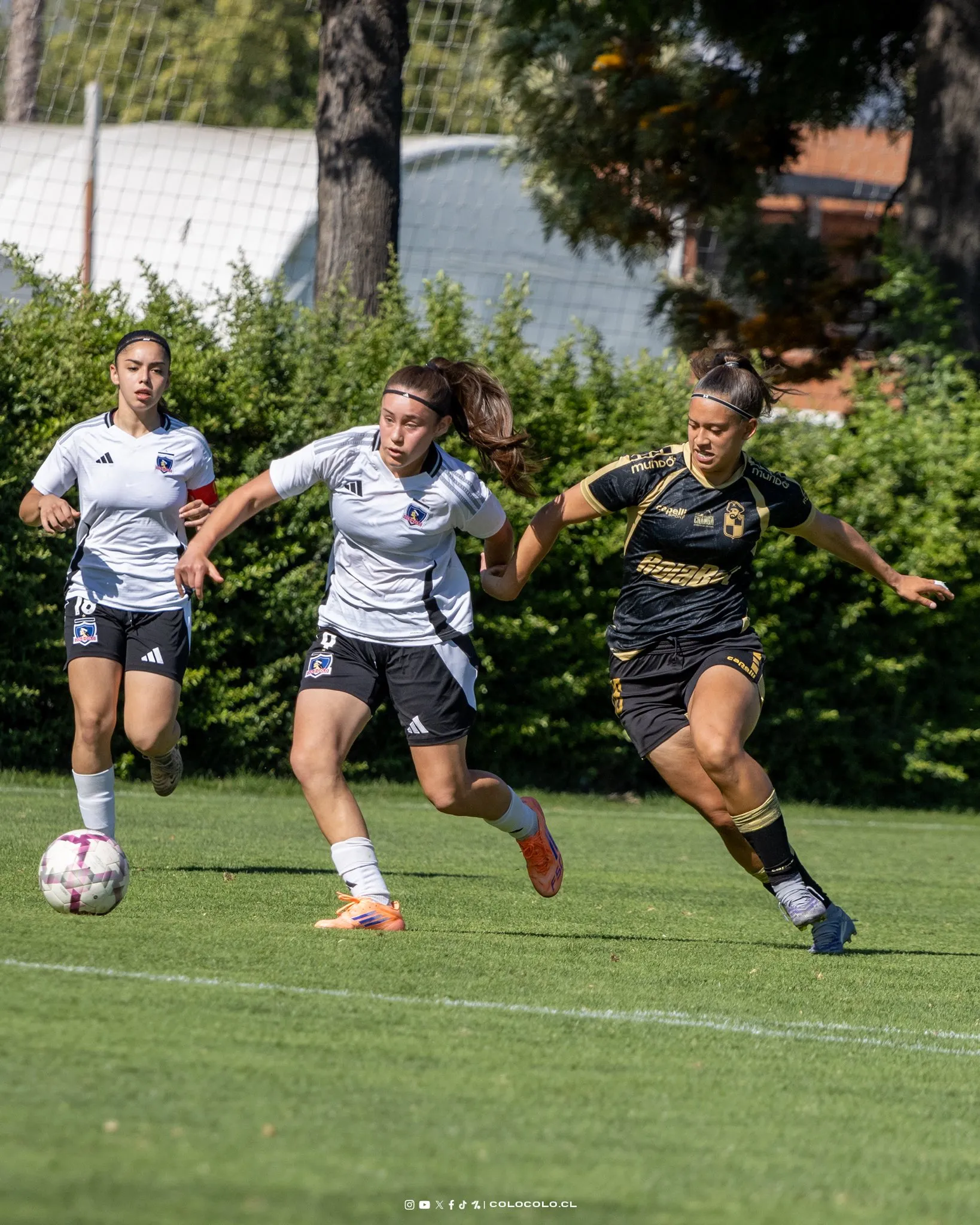 El Cacique tendrá otros dos superclásicos en la recta final del 2025, en el Fútbol Formativo Femenino. Foto: Colo Colo.