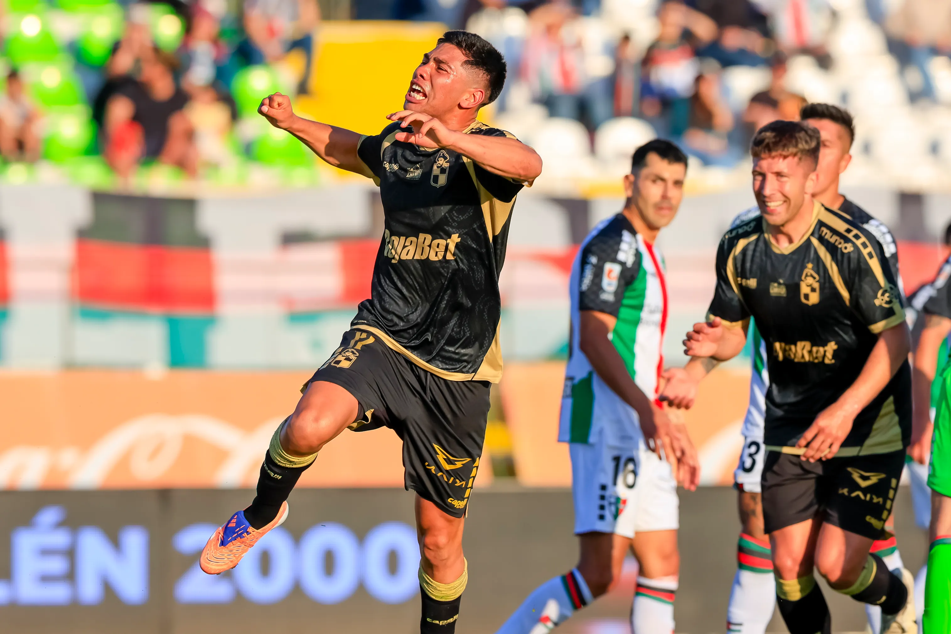 Francisco Salinas en partido de Coquimbo Unido y Palestino. (Foto: Photosport)