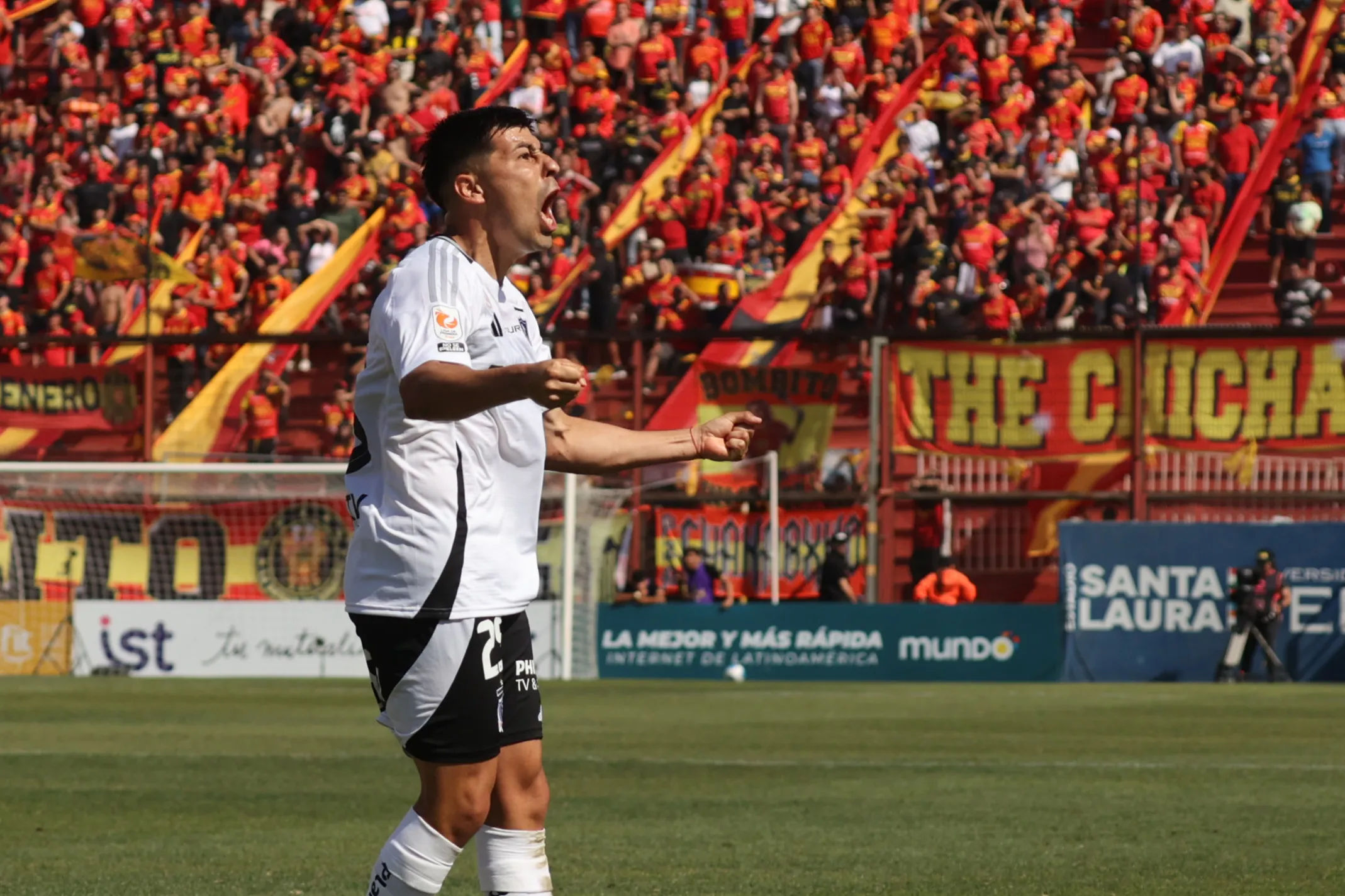 Tomás Alarcón busca revancha este 2026. Foto: Dragomir Yankovic/Photosport