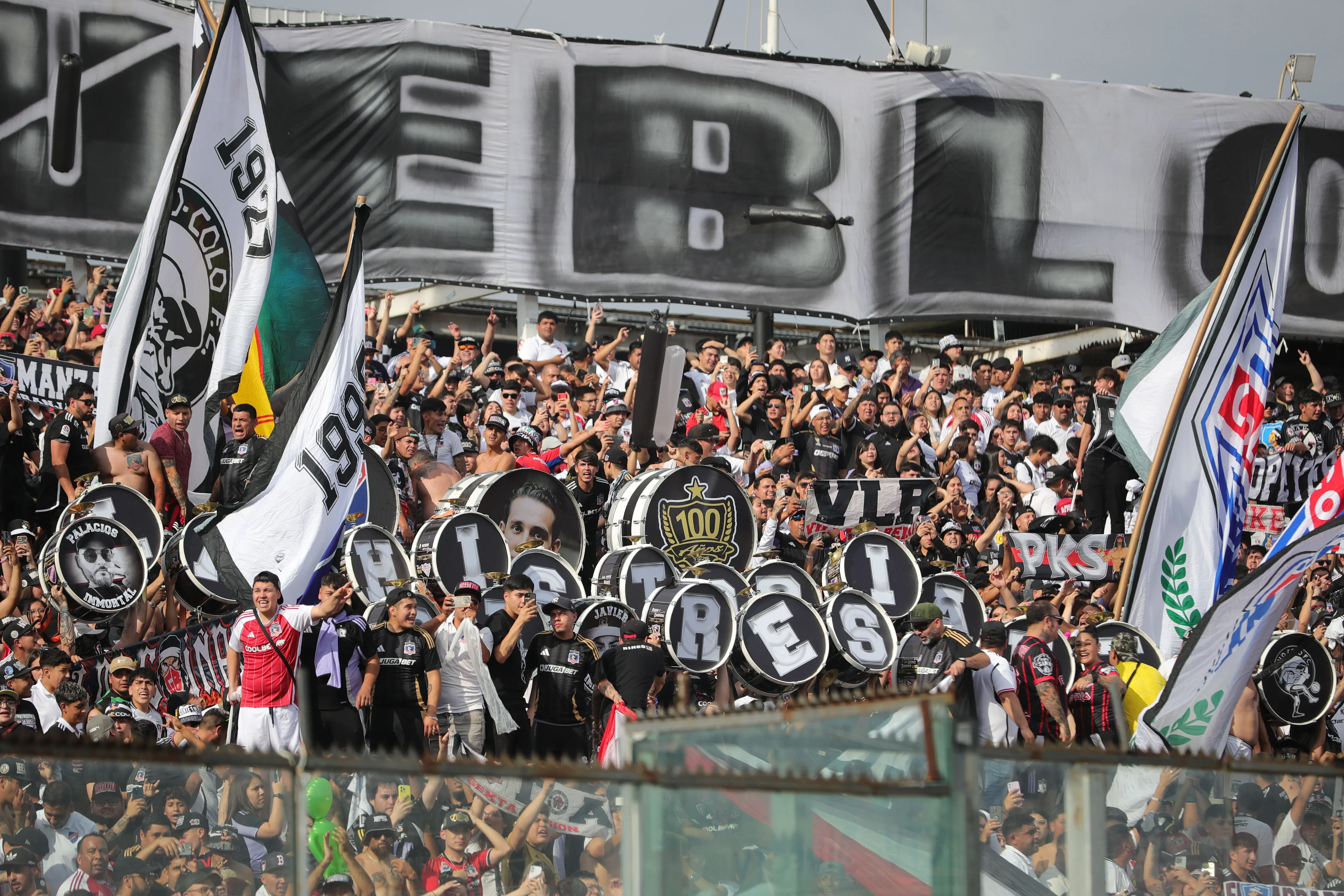 Los Albos regresan a casa. Imagen: Felipe Zanca/Photosport