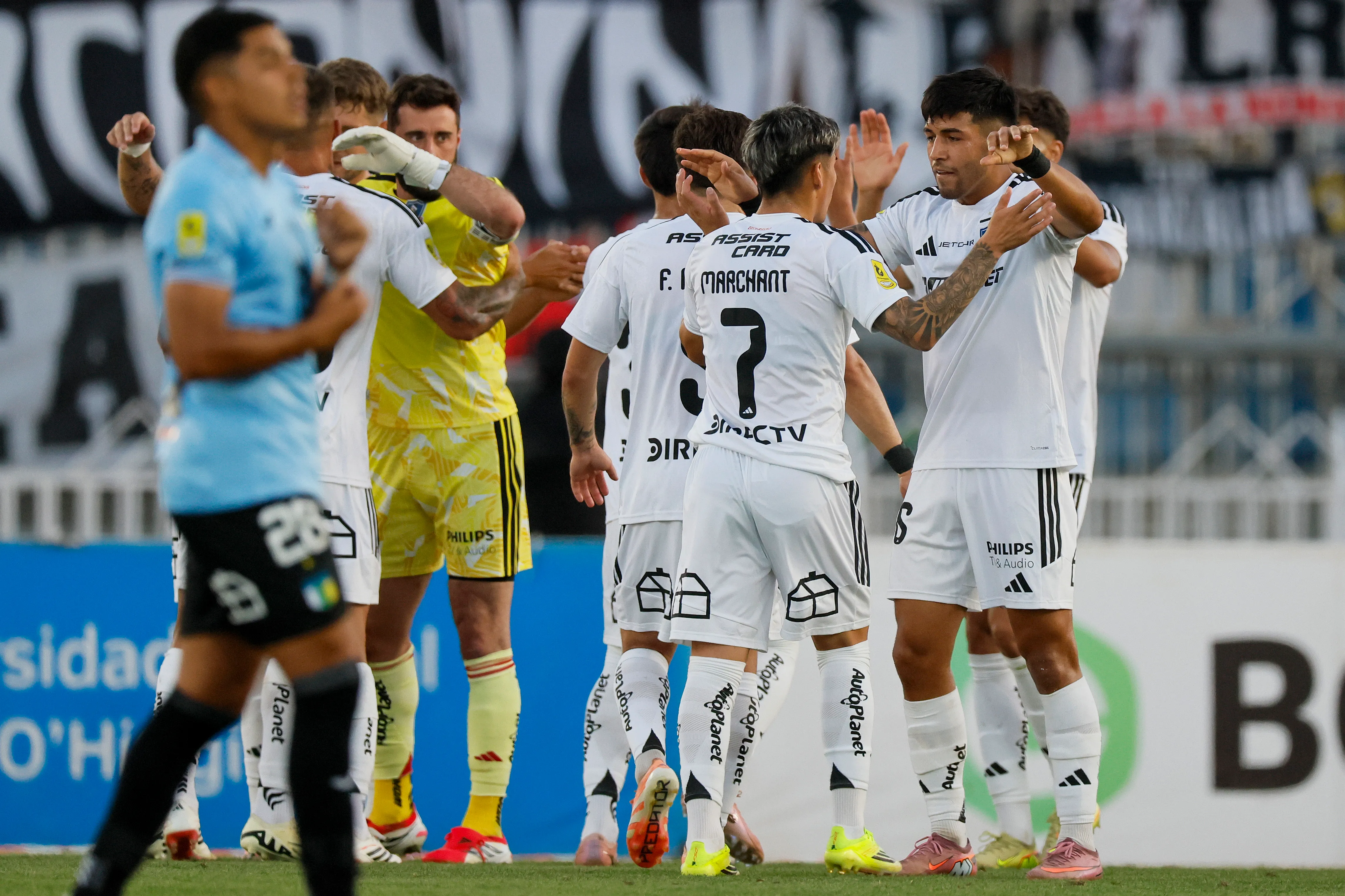 CSD Colo Colo insiste en la búsqueda de refuerzos. Imagen: Andres Pina/Photosport