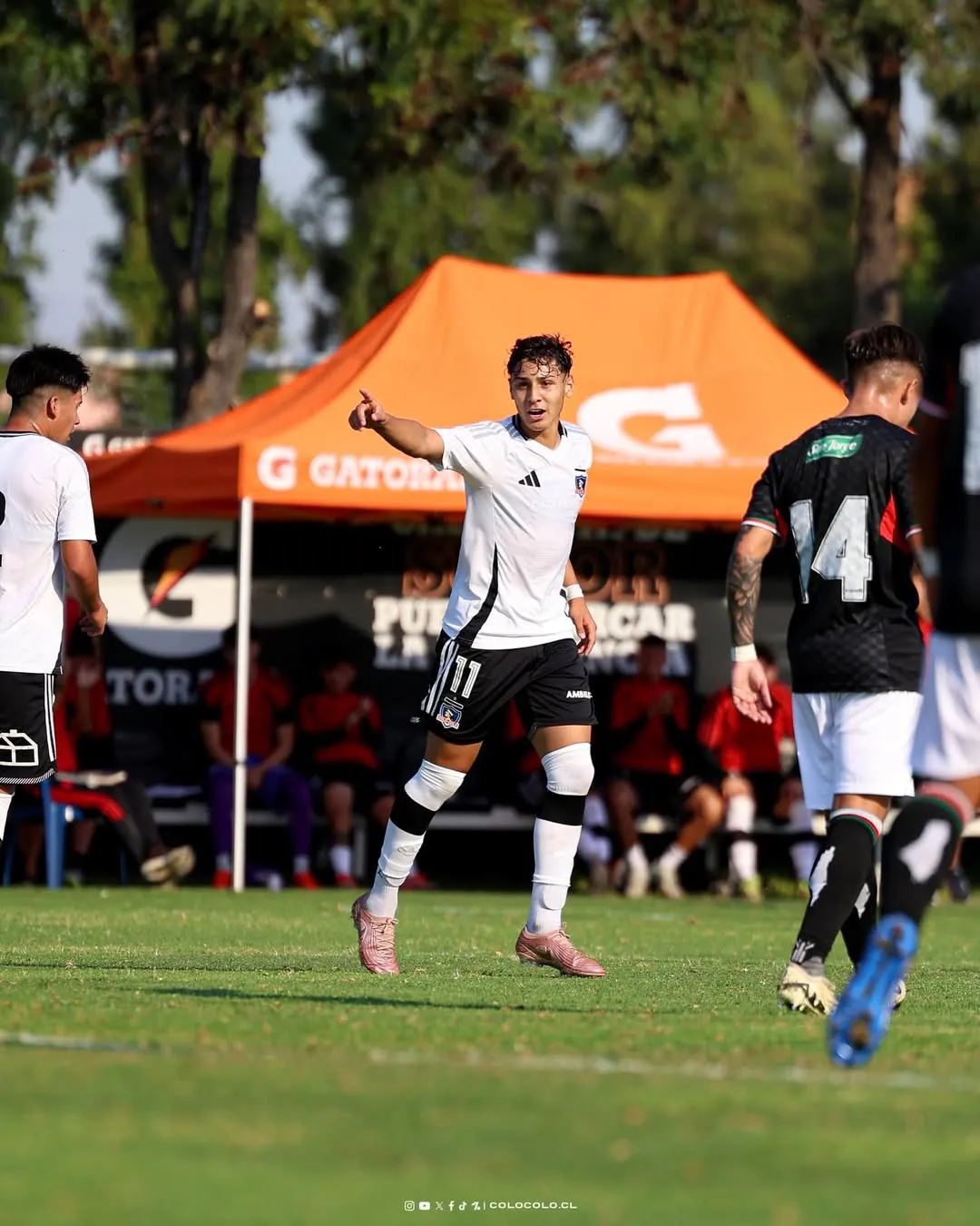 Colo Colo sub 20 busca su primera victoria en el torneo | Foto: Colo Colo