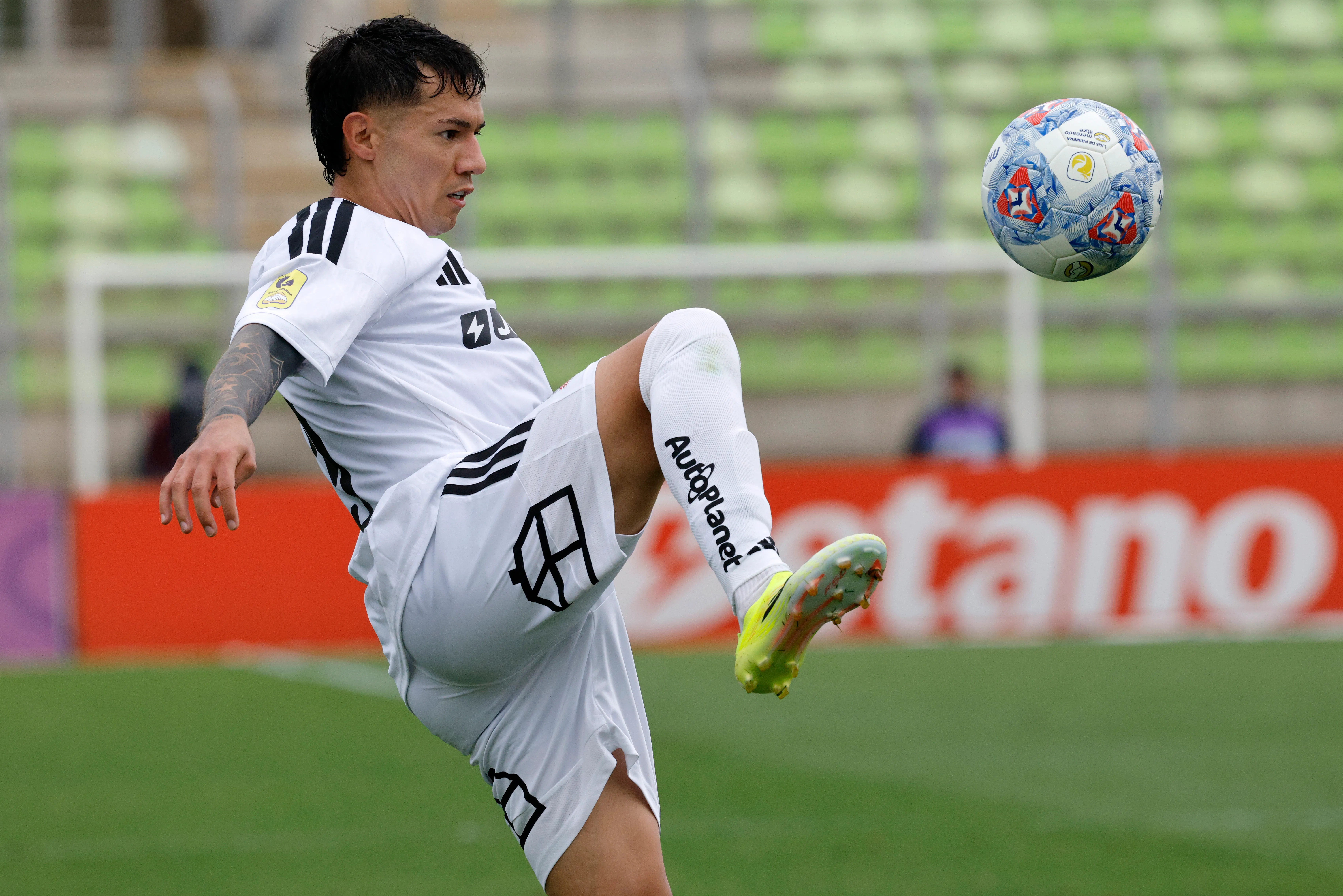 Matías Fernández no fue citado ante Audax ya que se encuentra enfermo | Foto: Photosport
