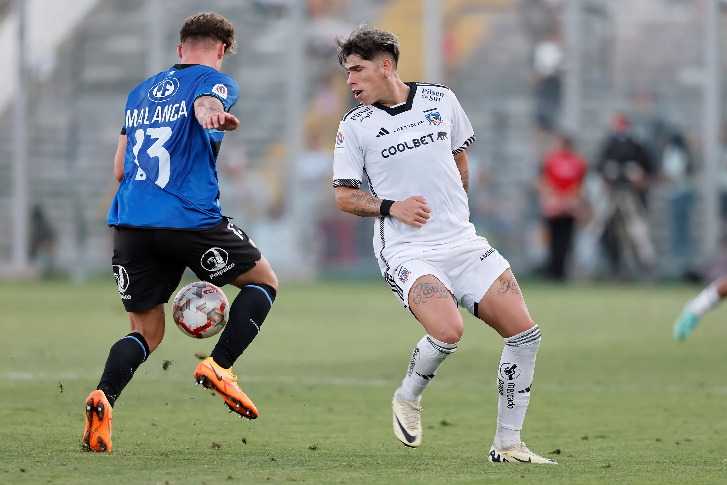 Colo Colo venció a Huachipato en el Campeonato Nacional 2024. Foto: Photosport.