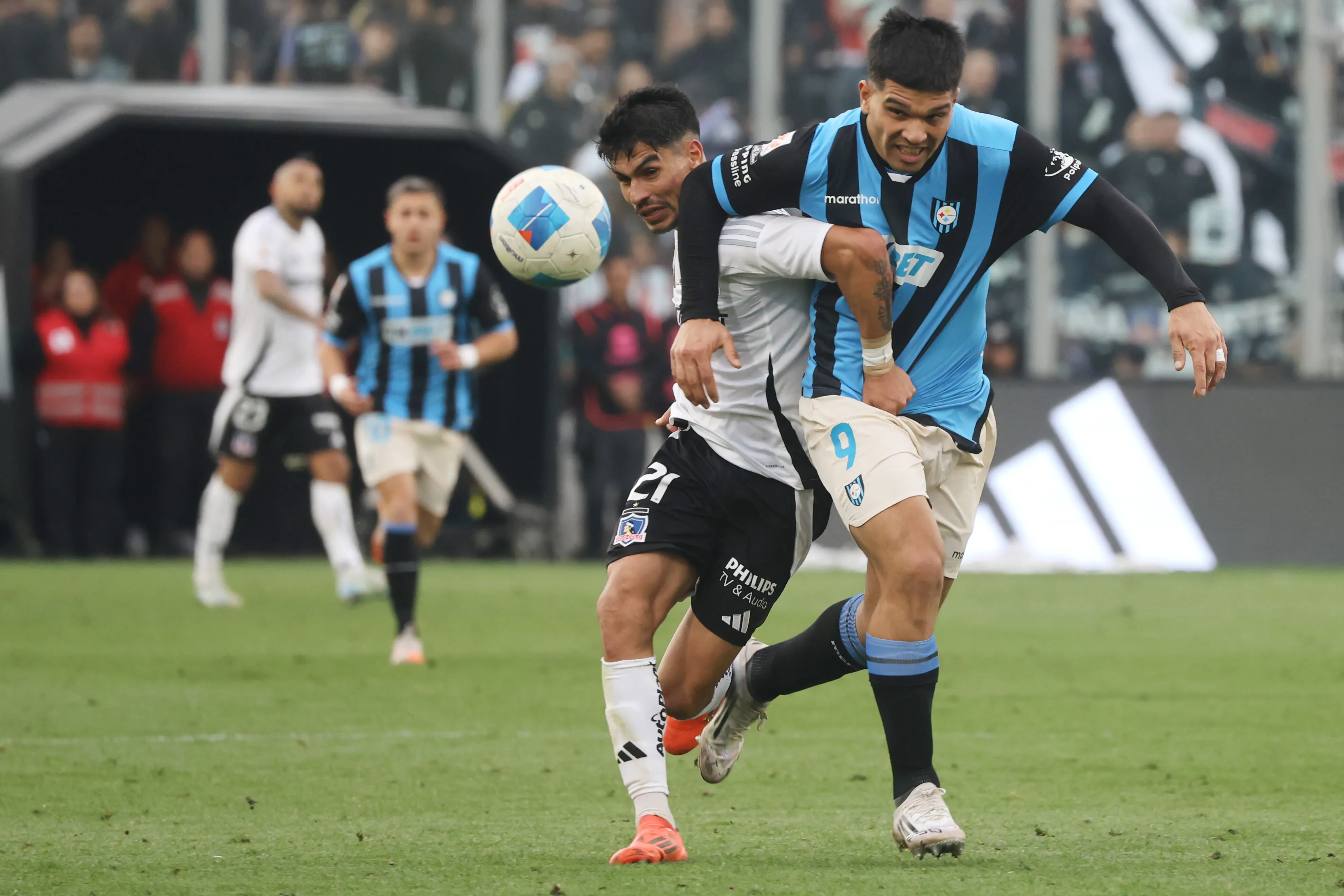 Colo Colo y Huachipato no registran empates en la Liga de Primera 2026.Imagen: Jonnathan Oyarzun/Photosport