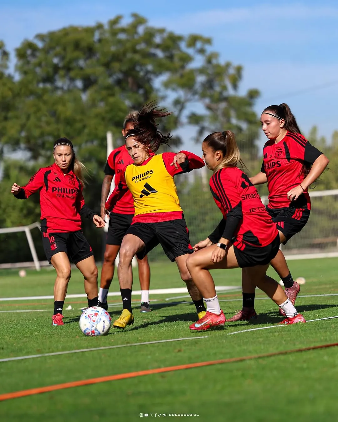 Colo Colo Femenino se prepara para el debut en el torneo nacional. 