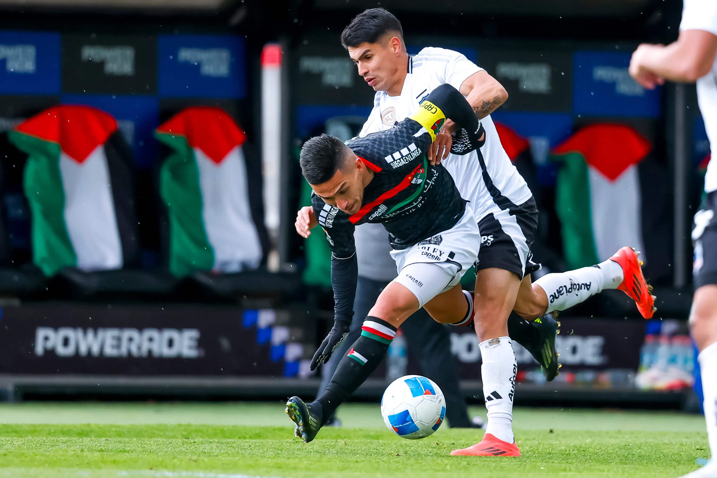 Colo Colo y Palestino volverán a enfrentarse por la Liga de Primera. Imagen: Pepe Alvujar/Photosport