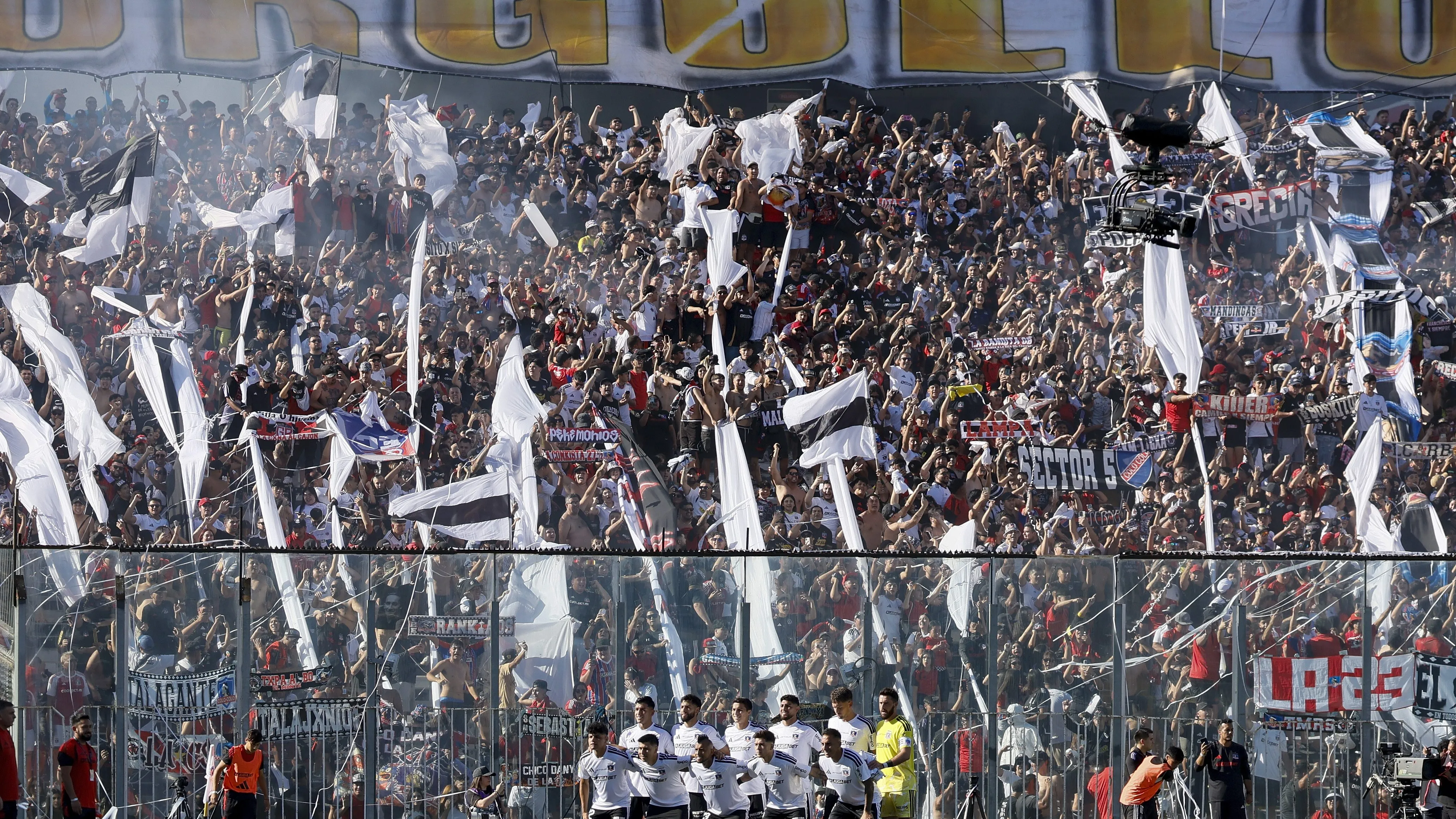 Las actividades del CSYD