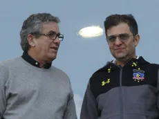 La razón de Vial para vender sus acciones a Mosa